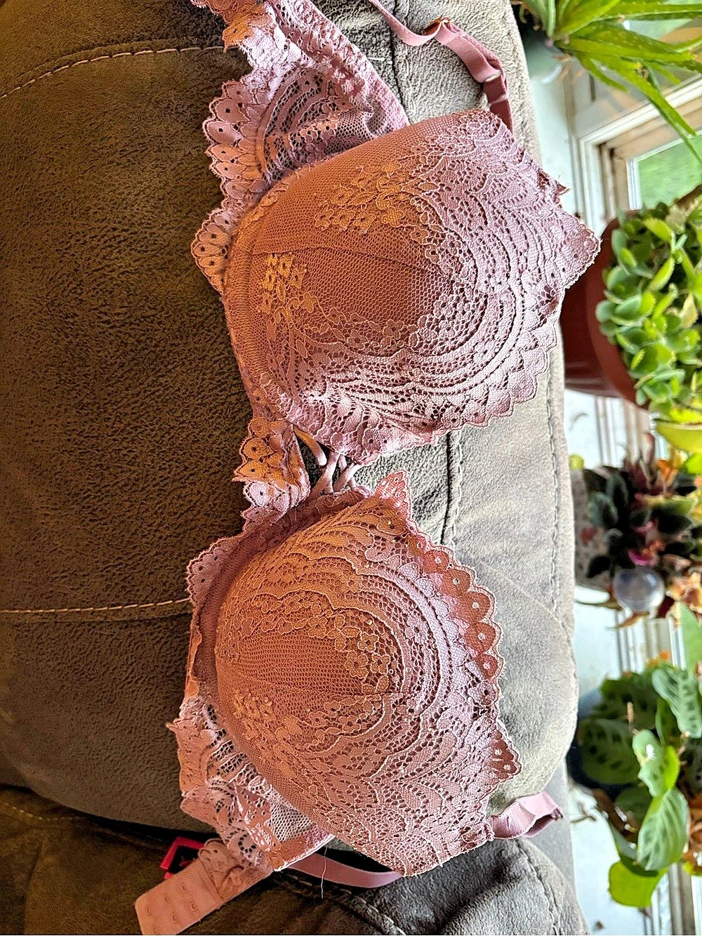 La Sanza Lace Underwire Bra in Pink Size 34D